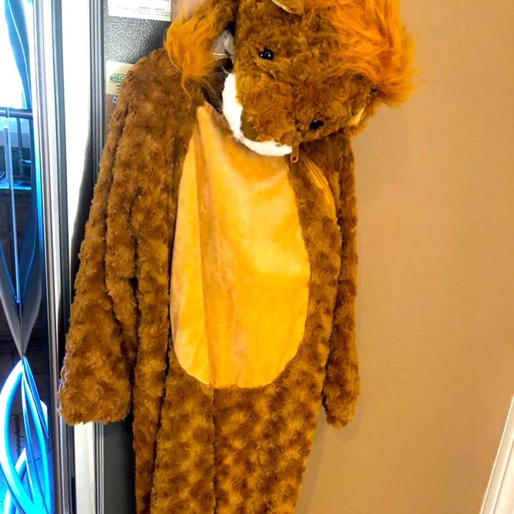 lion Costume for 5 year old